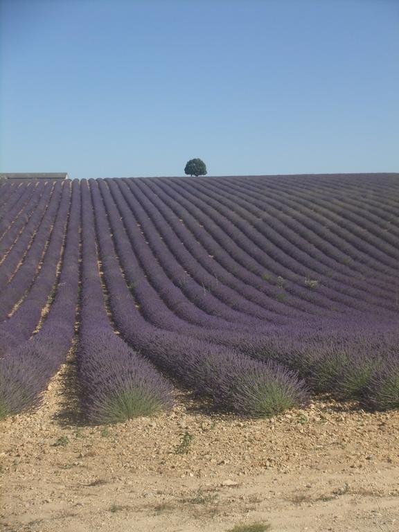 Le Mas Des Aludes La Destrousse Esterno foto
